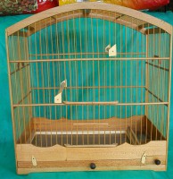 Gaiola de fibra palmeirense 